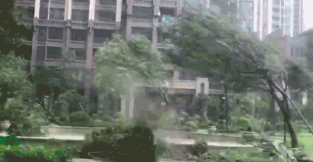 必读！这份气象灾害应急知识手册请收好！